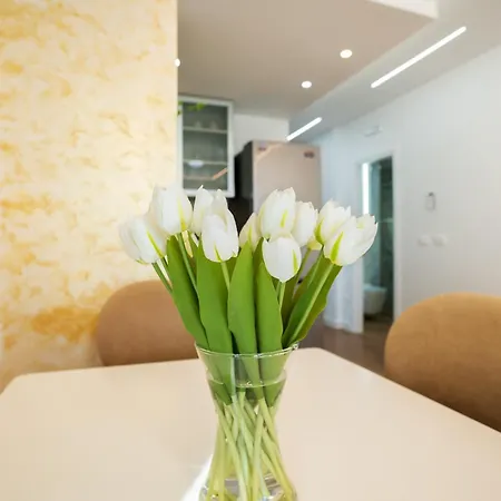 The Blue Pearl 2 Apartment